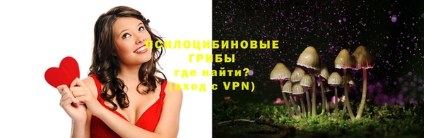 мяу мяу мука Алексеевка