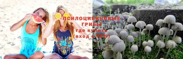 мяу мяу мука Алексеевка