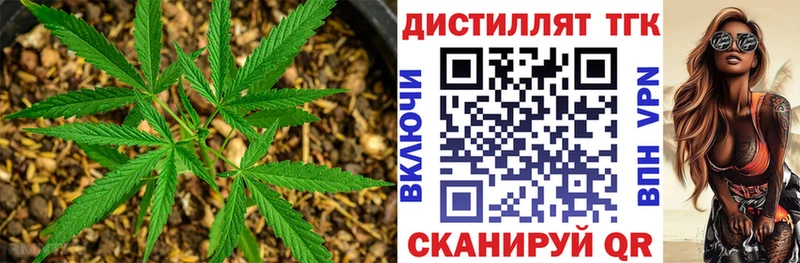 ТГК Wax  Вилючинск 