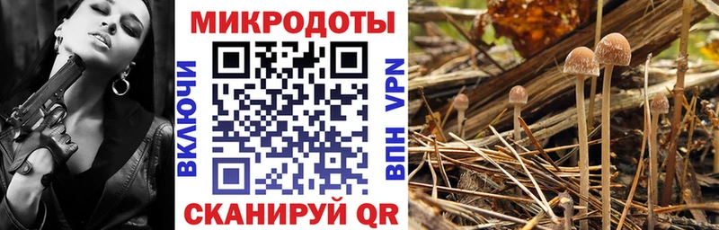купить наркотик  мориарти Telegram  KRAKEN онион  Псилоцибиновые грибы мицелий  Вилючинск 